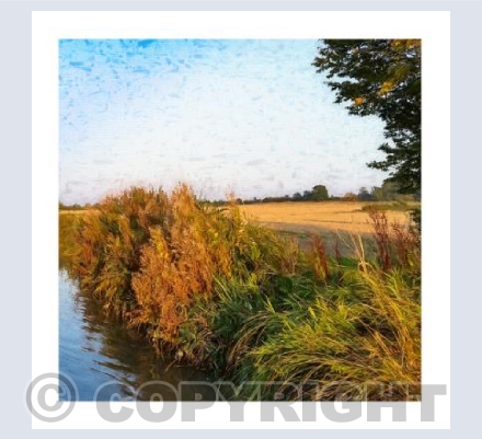 Autumn View