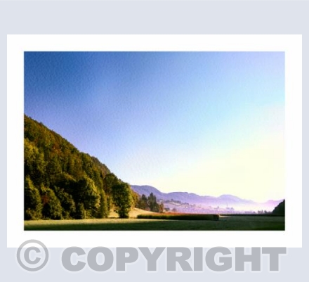 Swiss Morning