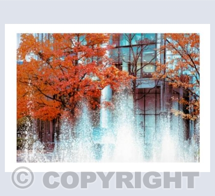 Fire and Water