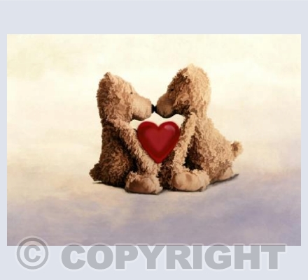Bears - Heart no caption