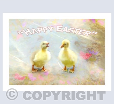 Easter Goslings
