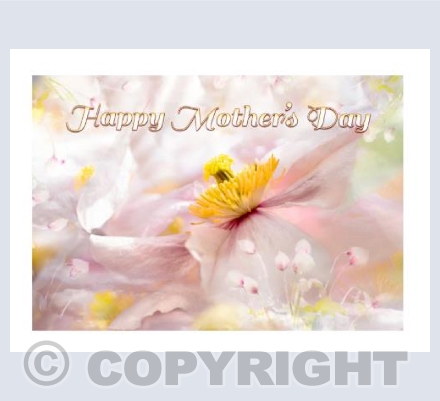 Floating Clematis Mother's Day