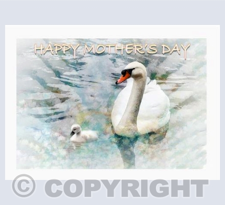 Mum and Child Mother's Day