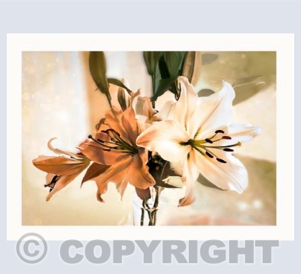 Golden Lily