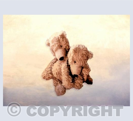 Bears - Watching over no caption