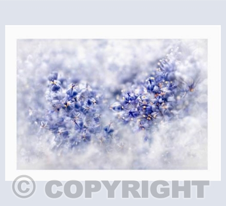 Blue through the Clouds