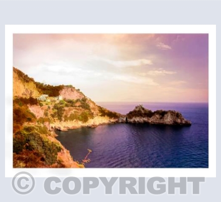 Purple Coast