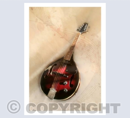 Mandolin