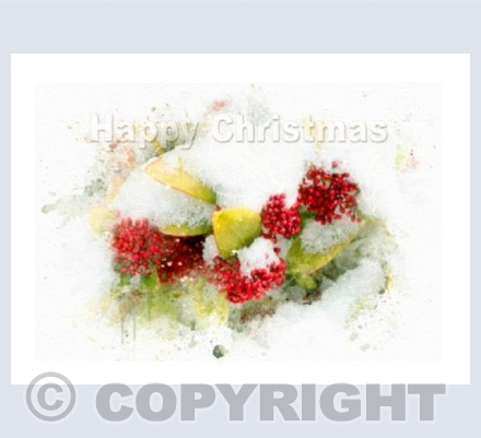 Snow and Berries