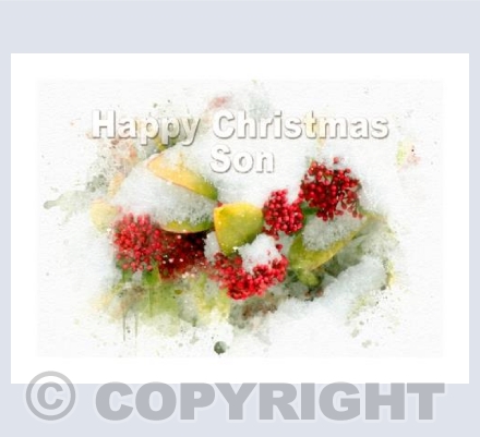 Snow and Berries Christmas Son