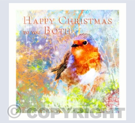 Robin Christmas Both