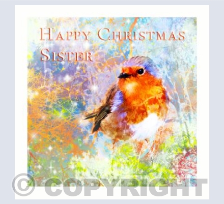 Robin Christmas Sister