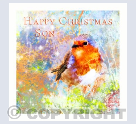 Robin Christmas Son