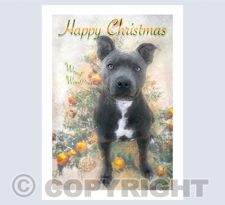 Rosie Charistmas Card