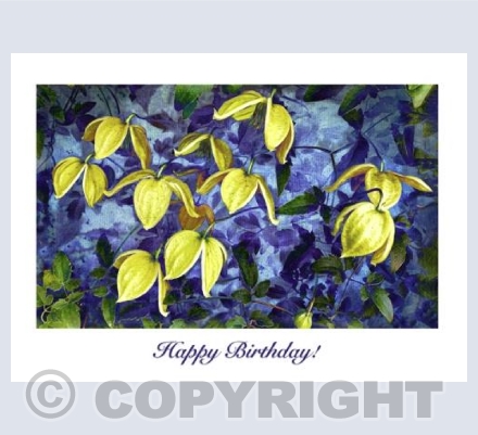 Blue and Yellow HB