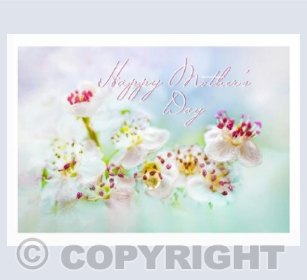 Blossom Raindrop Blue Mothers Day
