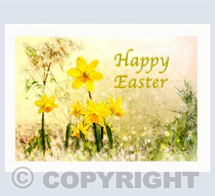 Daffodils Easter