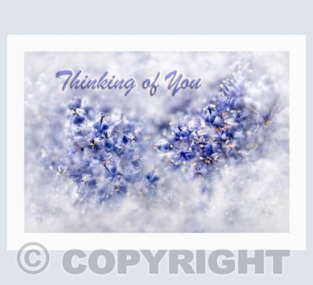 Blue through the Clouds - Thinking of You