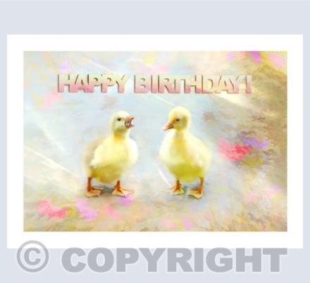 Chatting Goslings Happy Birthday