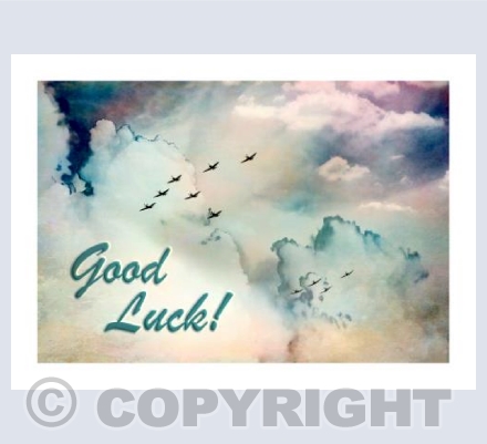 Elven Flyby - Good Luck