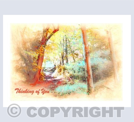 What's Through There