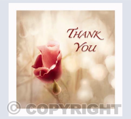Californian Poppy Thank you card
