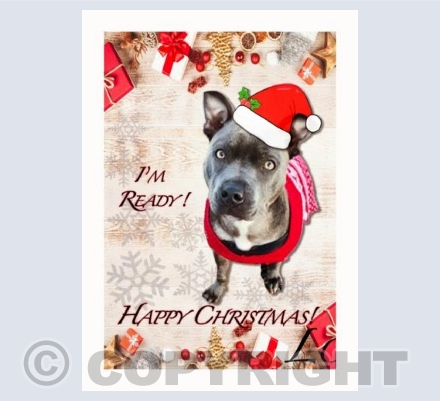 Christmas Costume Rosie