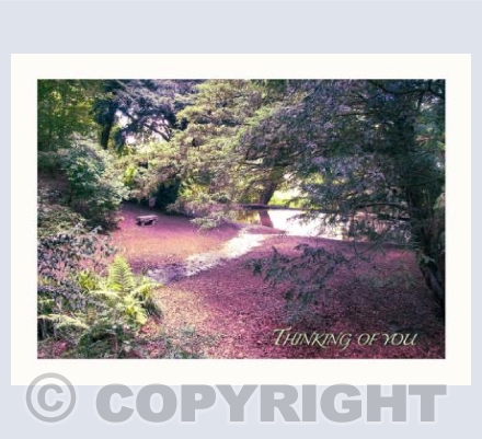 Seat by the Stream ToY