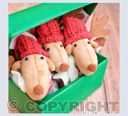 Reindeers in a box