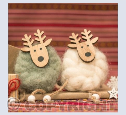 Peruvian Reindeers