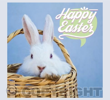 Happy Easter