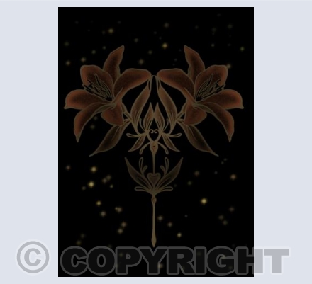 Lily by midnight