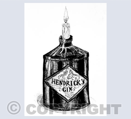 Repurposed Gin Bottle 