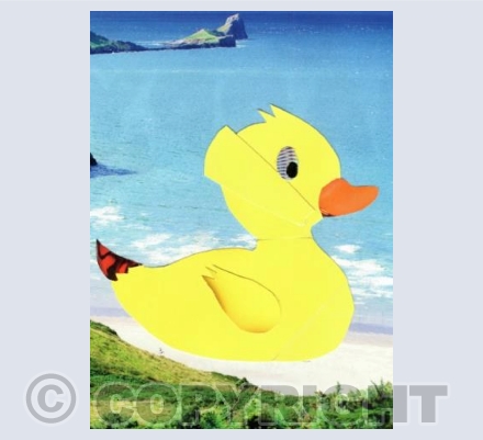 Birthday Happy Duck