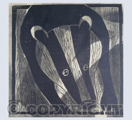 Badger - Broch