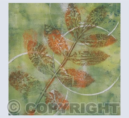 Ash Leaves