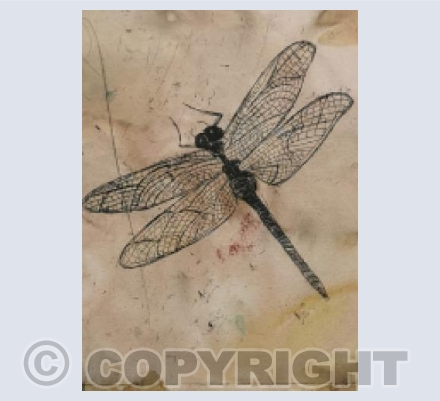Dragonfly