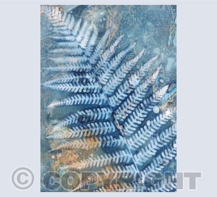 Tales From The Hedgerow II