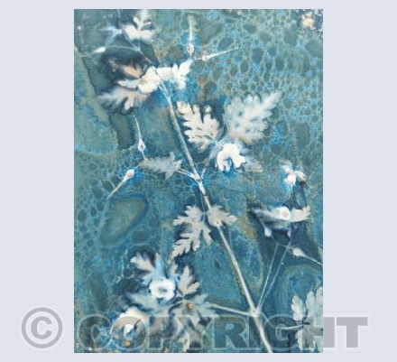 Tales From The Hedgerow V