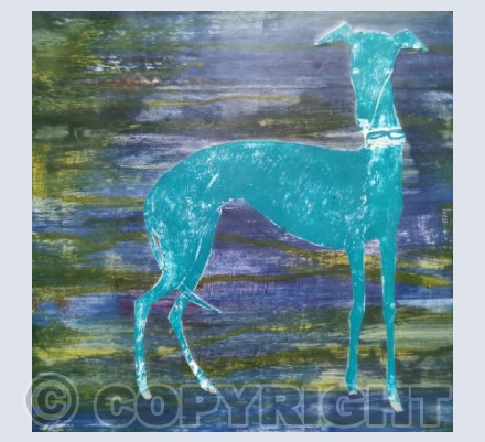 Blue Whippet