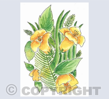 Daffodils