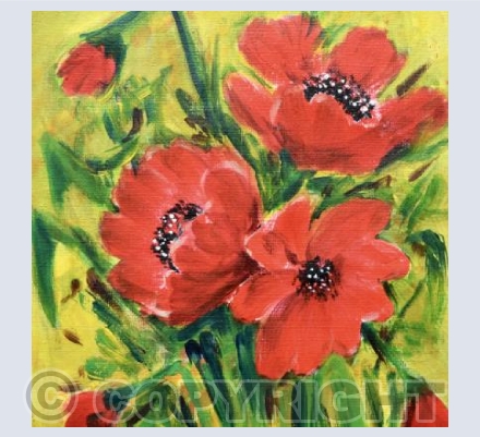 Bright poppies