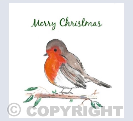 Robin 20