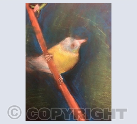 I Am The Little Bird 