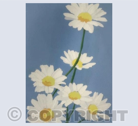 Daisies