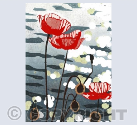 Poppies
