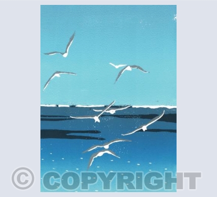 Seagulls