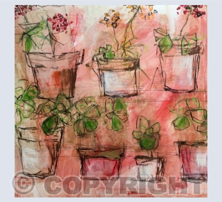 Greenhouse