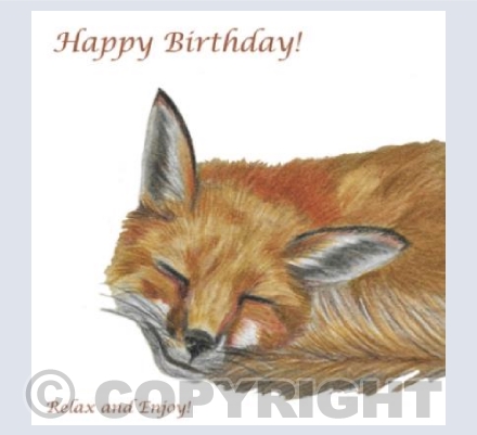 Relax & Enjoy sleeping fox