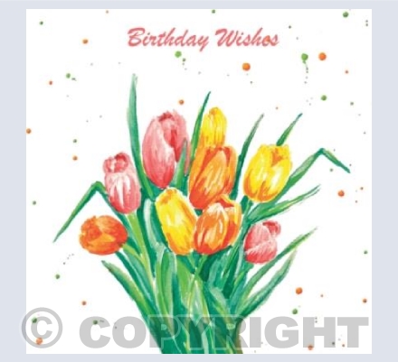Birthday Wishes Tulips